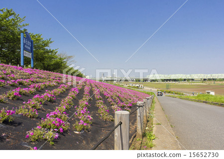 荒川銀行花卉藝術 15652730
