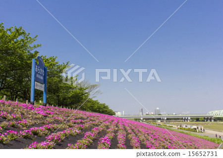 Arakawa bank Flower Art Arakawa bank Flower Art 15652731