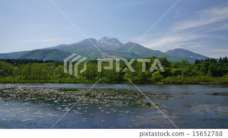 Myoko and Momoi pond 15652788
