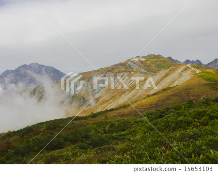 Hakuba Happoone Autumn Leaves 15653103