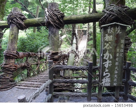 [Kazurabashi]德島縣三好市吉森西矢山村 15653498