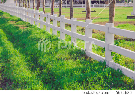 White picket fence 15653686