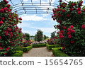 A rose garden 15654765