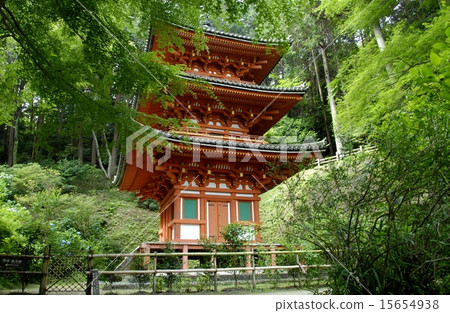 京都Iwafune寺廟庭院視圖 15654938