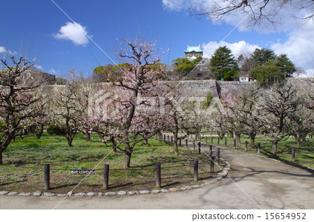 "The Three Majestic Castle in Japan" Drifting the Scent of Plums Osaka Castle / Osaka Castle Bairin / Hakusan Hyakkei "The Three Majestic Castle in Japan" Drifting the Scent of Plums Osaka Castle / Osaka Castle Bairin / Hakusan Hyakkei 15654952