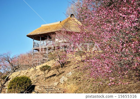 Mountain climbing Tsukuba 15655316