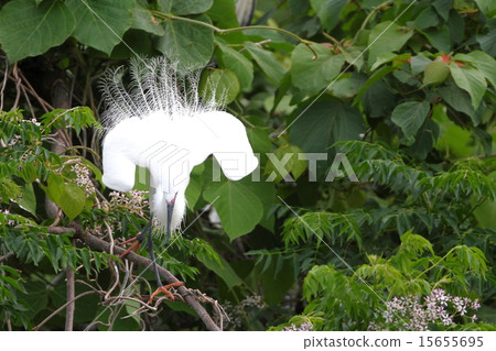Fawn decoration feathers 15655695