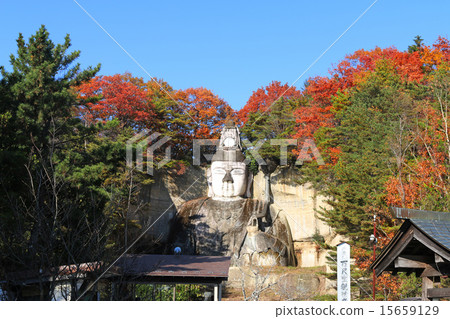 一百個metonamids 15659129