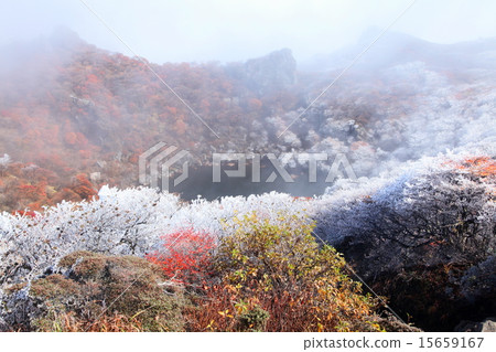 冬季訪問（Oboibayama） 15659167