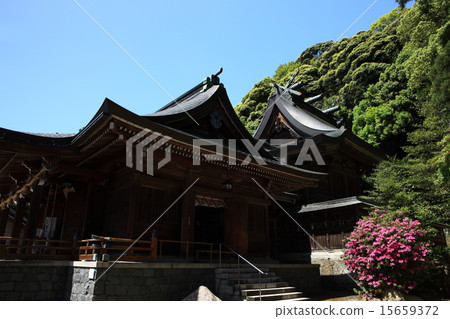 Matejū Shrine Matejū Shrine 15659372