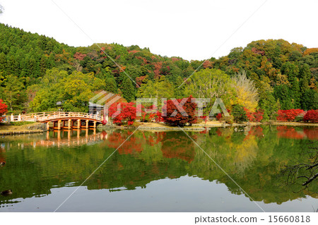 White Water Amidado (National Treasure) 15660818