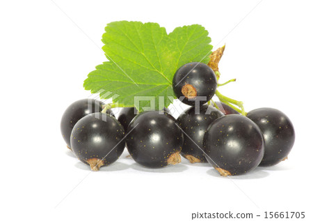 currant fruits 15661705