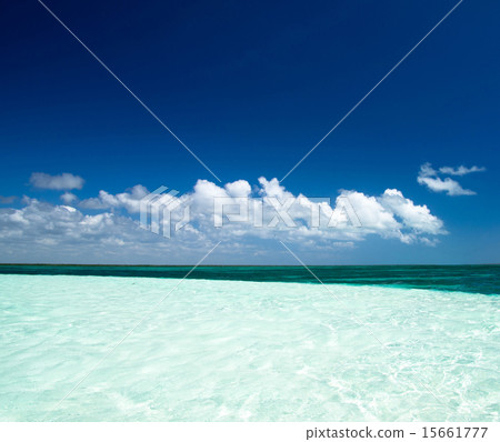 tropical sea 15661777
