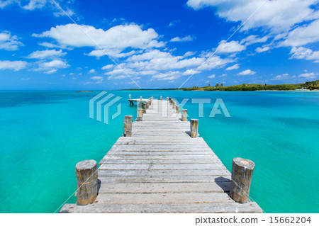 tropical sea 15662204