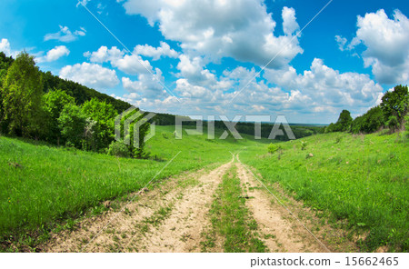 field field 15662465