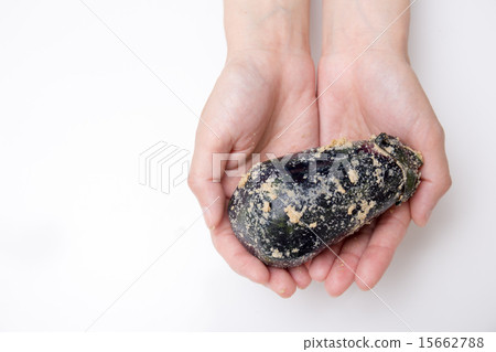 熱水帶來了 15662788