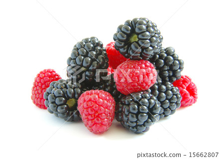 blackberry and raspberry blackberry and raspberry 15662807