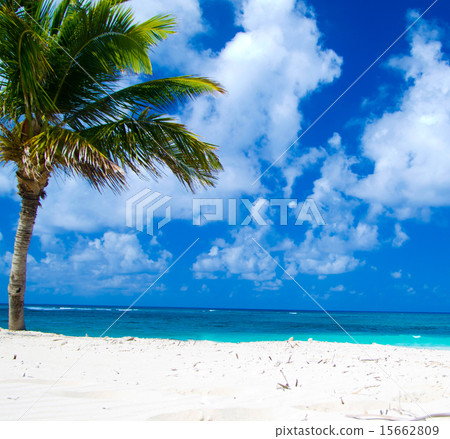 beach beach 15662809