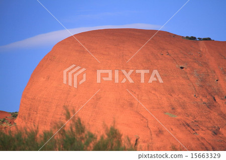 Kata Tuta（奧爾加山） 15663329