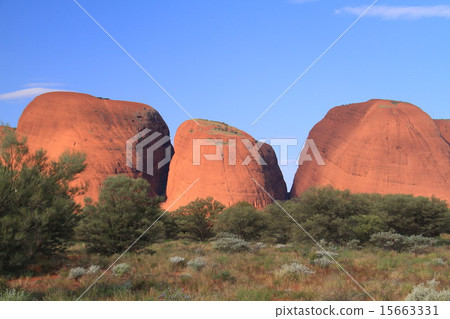 Kata Tuta（奧爾加山） 15663331