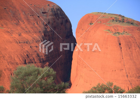 Kata Tuta (Mount Olga) 15663332