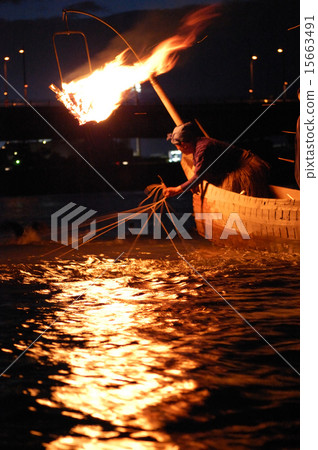 cormorant fishing 15663491