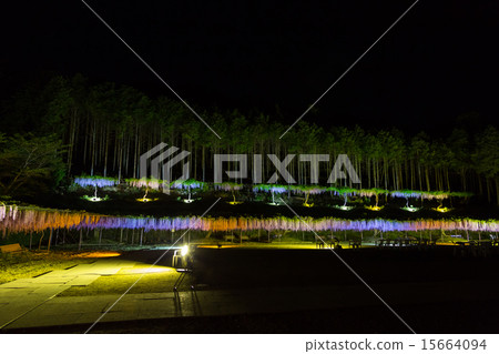 Light-up of Ku Fuji Fuji Light-up of Ku Fuji Fuji 15664094