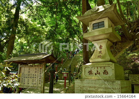 Masaka在Takao 108樓梯 15664164