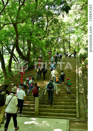 Masaka在Takao 108樓梯 15664165