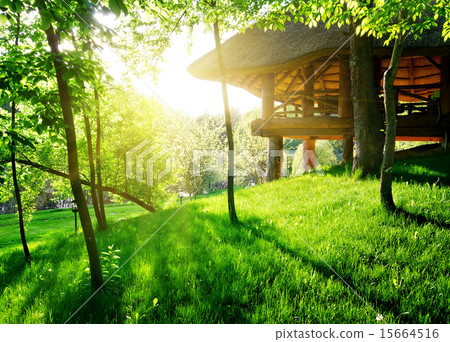 Gazebo among the trees 15664516