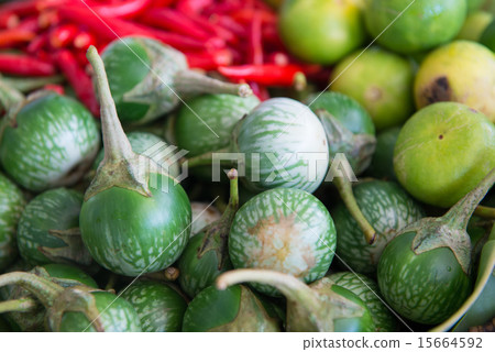 Thai Green Eggplant Thai Green Eggplant 15664592