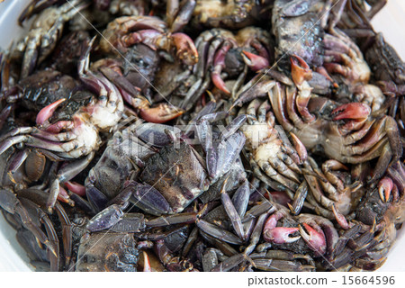 Small black crab for cooking food 15664596