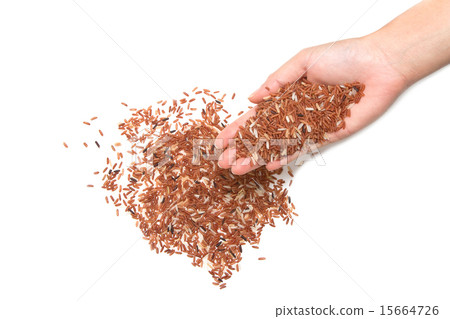 woman hand holding organic color rice 15664726