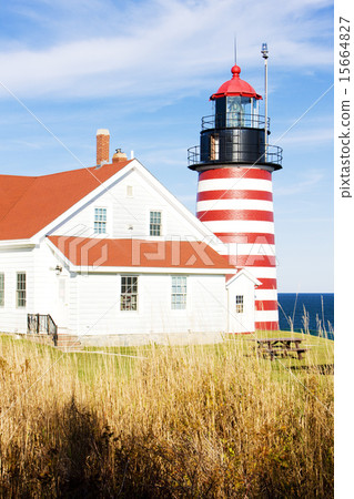 West Quoddy Head Lighthouse, Maine, USA West Quoddy Head Lighthouse, Maine, USA 15664827