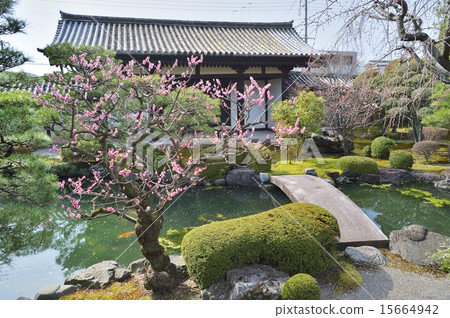 Toji Official Japanese garden 15664942