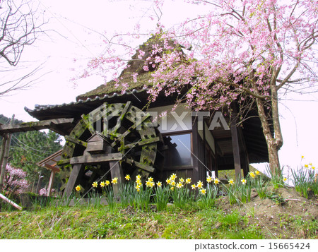  Miyama Town（玩具屋頂）的舊市鎮景觀 15665424