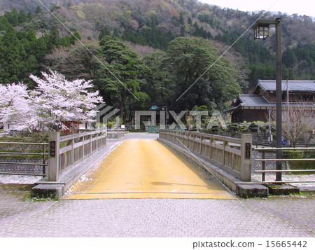 櫻花日本著名的水100選擇“Umo no Ise（井上）” 15665442