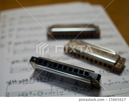 布魯斯豎琴 15665627