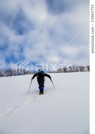 Winter shrine 15665755