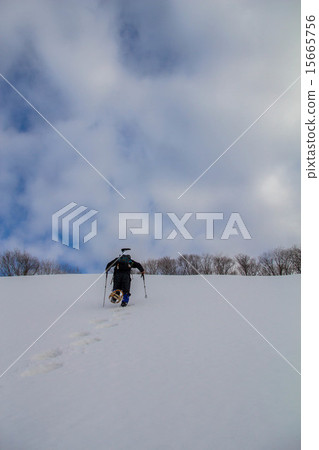 Winter shrine 15665756