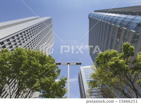 西新宿的建築物 15666251