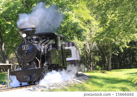 Stock Photo: logging railways, steam locomotive, steam locomotives