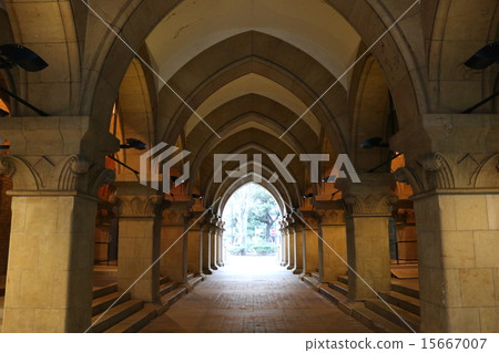 Tokyo University 15667007