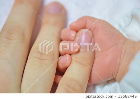 寶貝和媽媽的手 寶貝和媽媽的手 15668449