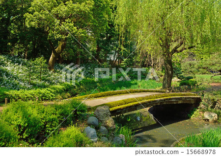 Kiyosumi garden: a bridge over iris Kamata Kiyosumi garden: a bridge over iris Kamata 15668978