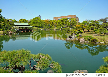 清澄花園:大泉水和Ryoi 清澄花園:大泉水和Ryoi 15668991