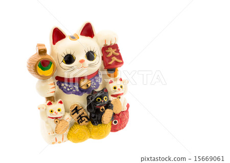 Several inviting cats Several inviting cats 15669061
