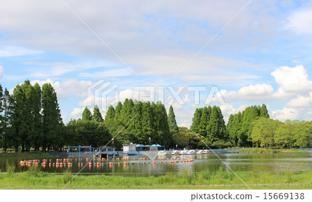 Shonai green area pond 15669138