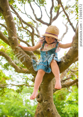 Girls climbing trees 15669372