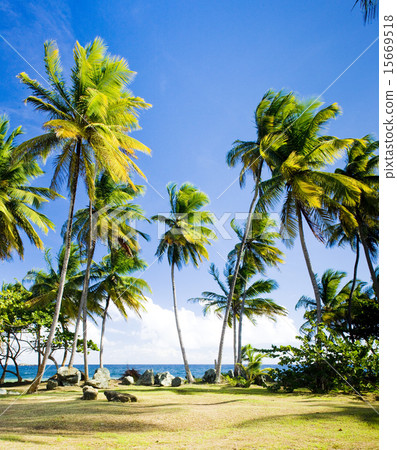 Granby Point, Tobago 15669518